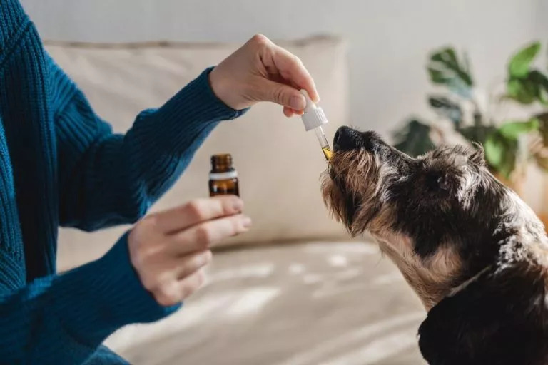Pet Products Supplements