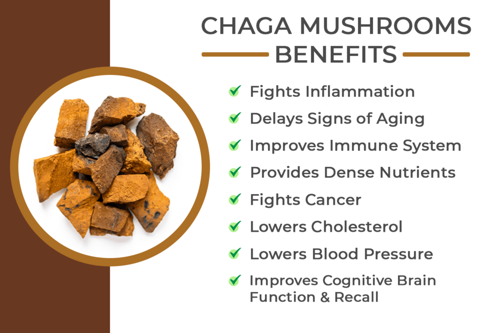 Chaga health benefits
