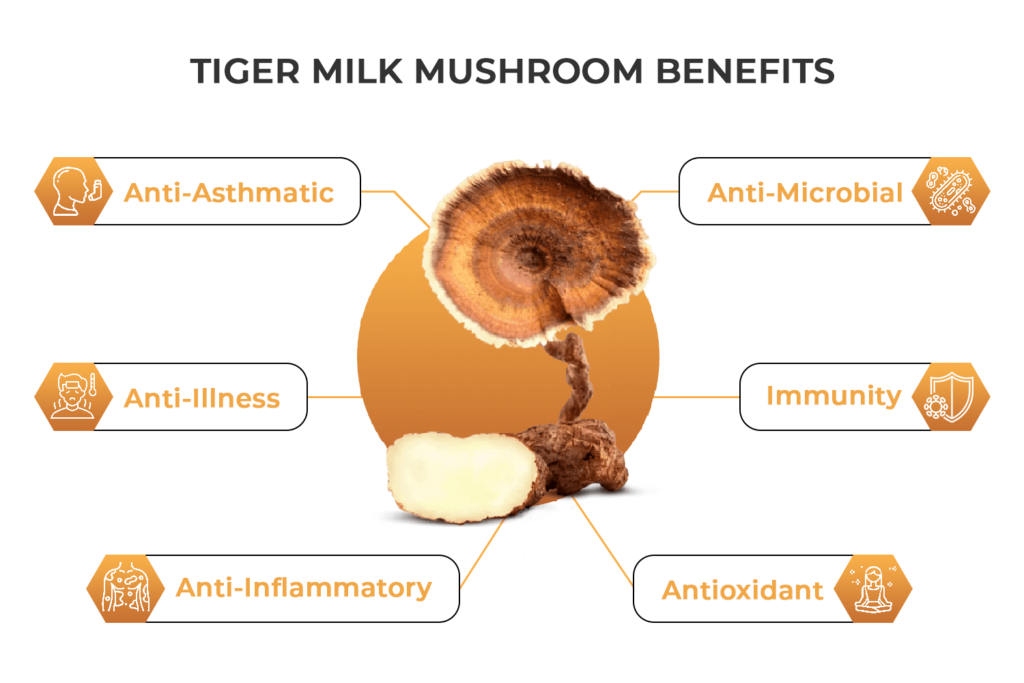 Tiger Milk health benefits
